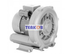 (yng)TEAKORu