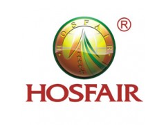 vN߅HOSFAIR20136VݾƵƷչ