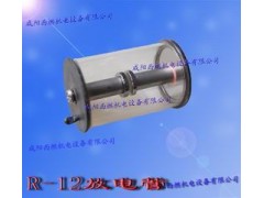 (yng)R-12늹