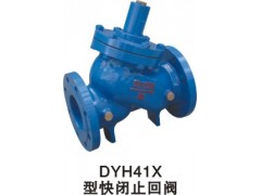 DYH41XͿ]ֹy