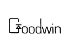 GoodwinֹyGOODWINpʽֹy