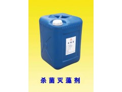 儩