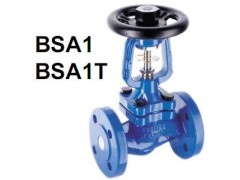 ˹ɯBSA1Tֹy