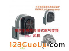 ebmpapatȫA偠tLC