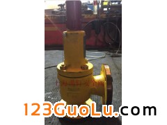 WA42F46-25C-DN40yҺȌ(zhun)ðȫy