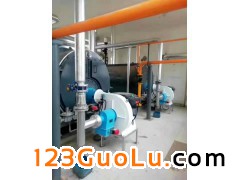 (ni)ɹ偠tb죬 Zؐȼb 偠t͵ȼ