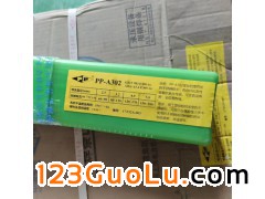 ϺPP-A302P늺lE309-16l