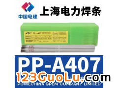 ϺPP-A407 /E310-15P늺l
