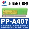 ϺPP-A407 /E310-15P늺l