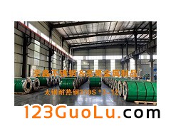 P1Cr25Ni20Si2310SI2)P䓰