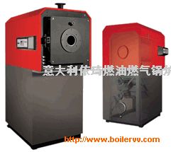 MONOLITE ȫµ偠t 