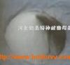 懻Ͻ 懻ԺϽ